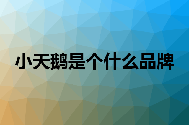 小天鹅&nbsp;LittleSwan是个什么品牌，这个品牌怎么样？