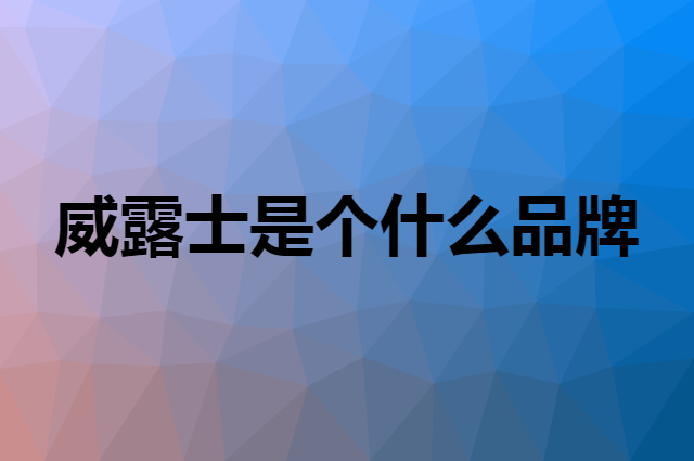 威露士&nbsp;Walch是个什么品牌，这个品牌怎么样？