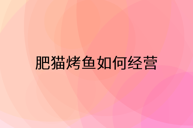 肥猫烤鱼加盟营销活动提升业绩工具